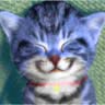 chat